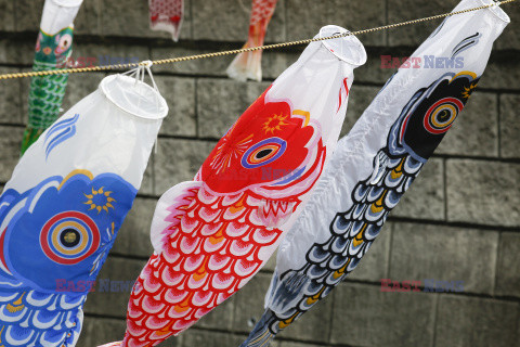 Koinobori na Dzień Dziecka