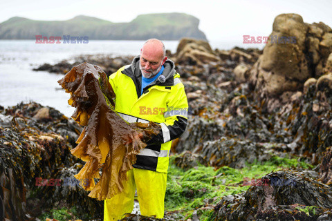 Destylarnia whisky na wyspie Harris