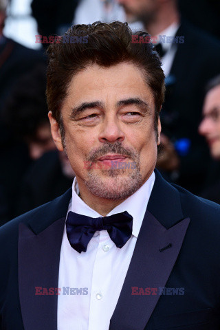 Cannes 2025 - pokaz filmu The Phoenician Scheme