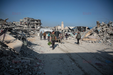 Gehenna Gazy