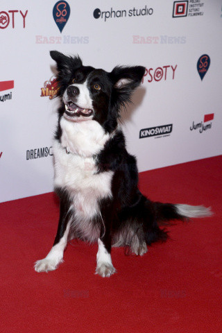 Premiera filmu "Psoty"