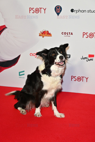Premiera filmu "Psoty"