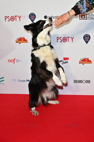 Premiera filmu "Psoty"