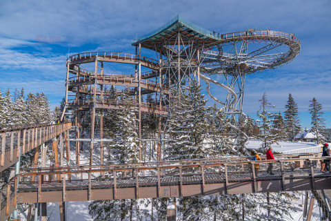 Fotonova - arch