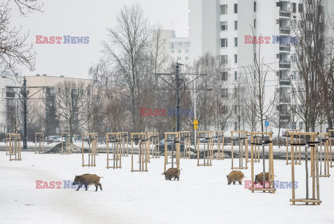 East News archiwum 2026