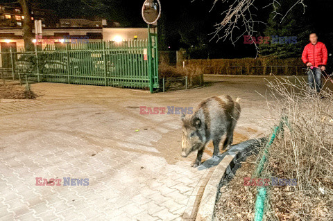 East News archiwum 2026