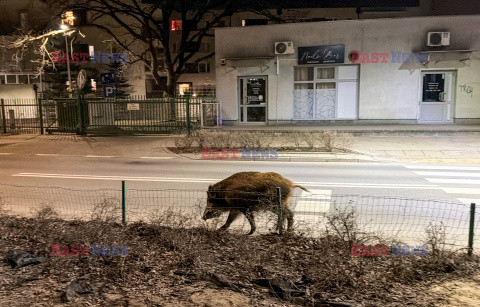 East News archiwum 2026