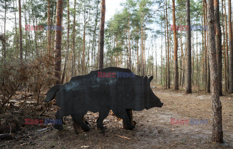 East News archiwum 2026