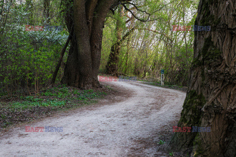 East News archiwum 2026