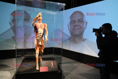 Wystawa Body Worlds Pulse w Warszawie