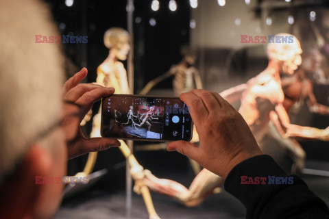 Wystawa Body Worlds Pulse w Warszawie