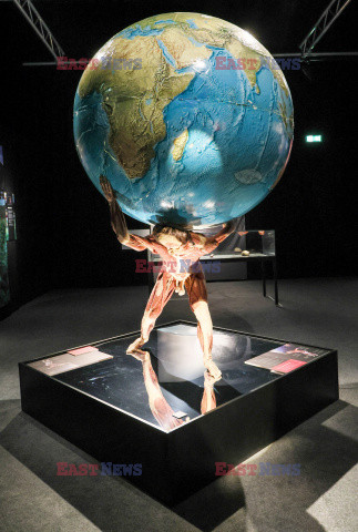 Wystawa Body Worlds Pulse w Warszawie