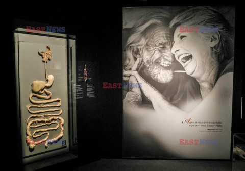 Wystawa Body Worlds Pulse w Warszawie