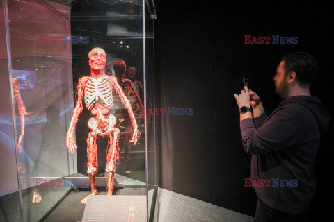 Wystawa Body Worlds Pulse w Warszawie