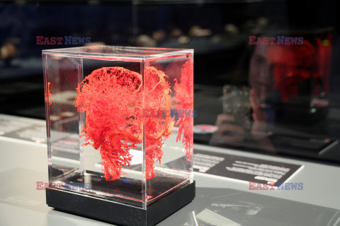 Wystawa Body Worlds Pulse w Warszawie
