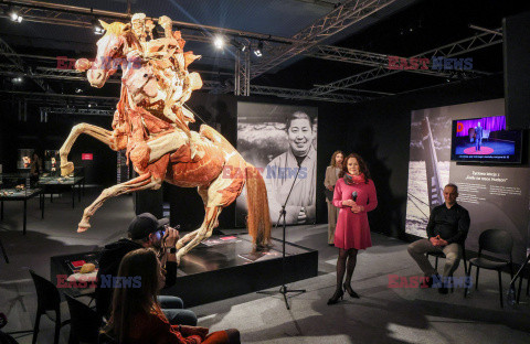 Wystawa Body Worlds Pulse w Warszawie