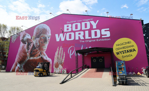 Wystawa Body Worlds Pulse w Warszawie