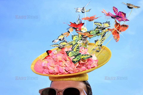 Wyścigi Ascot 2026