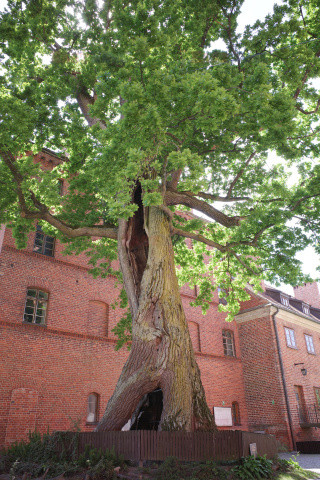 Polska Andrzej Zbraniecki