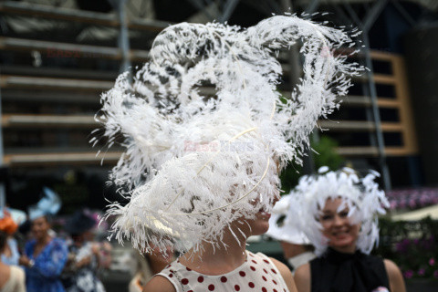 Wyścigi Ascot 2026