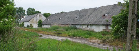 Polska Andrzej Zbraniecki