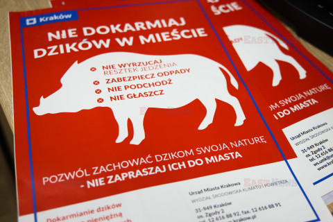 Spotkanie z Moniką Piątkowską w Krakowie