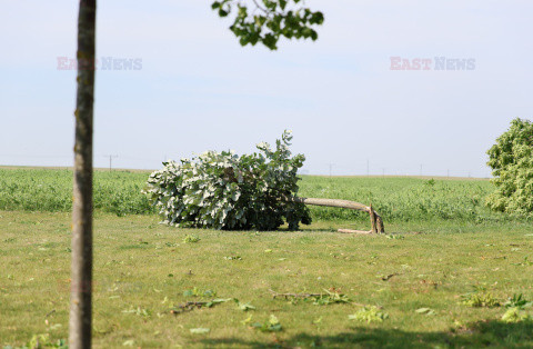 Burze i wichury nad Polską