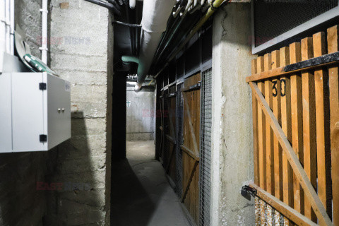 east news archiwum