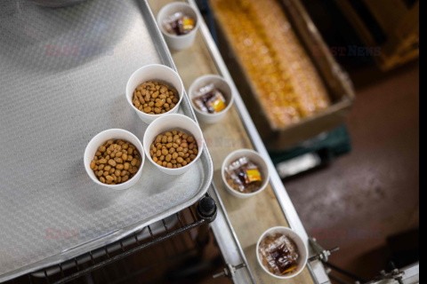 Natto - potrawa ze sfermentowanych ziaren soi