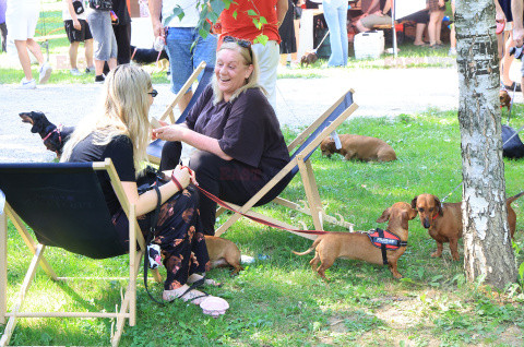 Festiwal jamników w Zagrzebiu