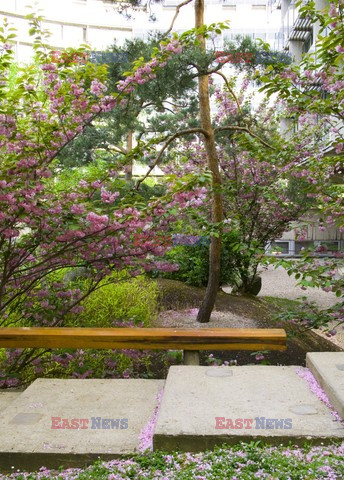 Wiosenny ogród w stylu japońskim - Indoor Architecture