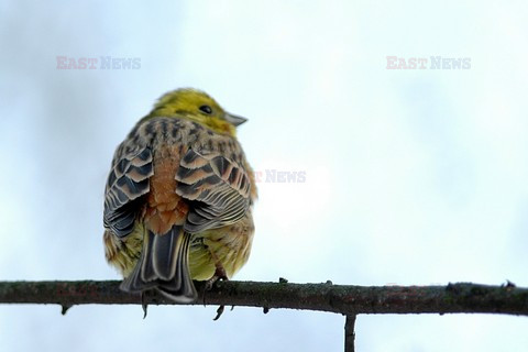 reporter_baza3