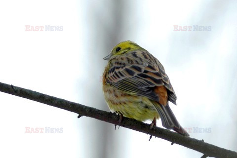 reporter_baza3