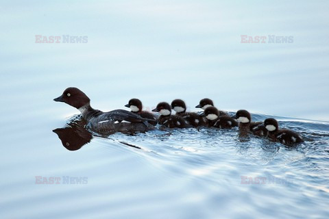reporter_baza3