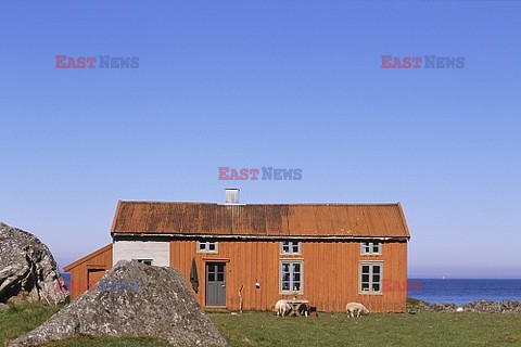 Zapomniany dom na wyspie Lofoten - Art De Vivre