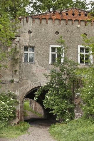 Polska LeKo