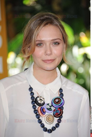 Hollywood Foreign Press Luncheon
