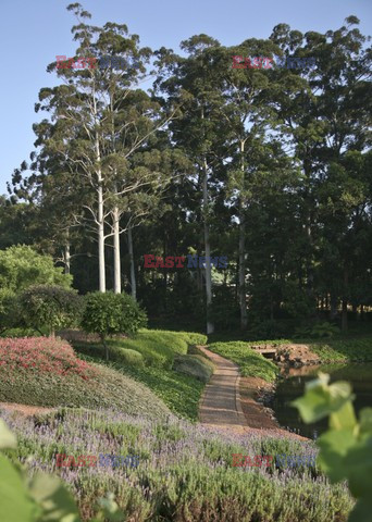 Ogród w stylu środziemnomorskim w Pretorii - House and Leisure