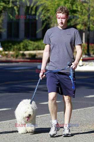Mark Zuckerberg takes his dog Beast for a walk 