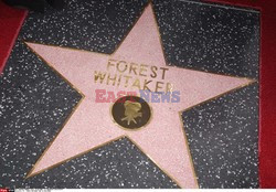 Forest Whitaker otrzymał gwiazdę na Bulwarze Sławy