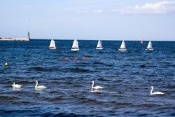 Pomorze MarMi