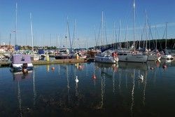 reporter_baza3