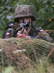 Ćwiczenia sił zbrojnych "Anakonda 2012"