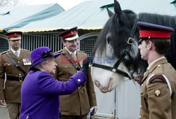 Queen Elizabeth II meets members of the Household Cavalry