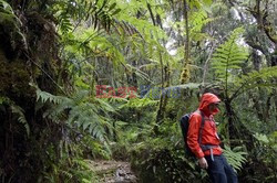 Borneo - raj na ziemi - Le Figaro