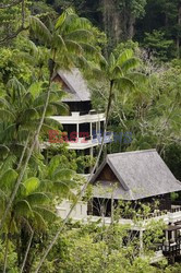 Borneo - raj na ziemi - Le Figaro