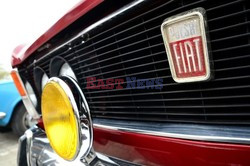 Zlot miłośników Dużych Fiatów 125p pod FSO