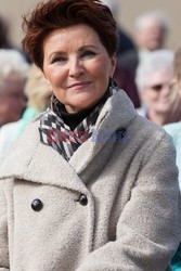 Tulipan Aleksandra Kwasniewskiego