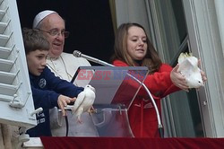Papieskie gołębie w niebezpieczeństwie