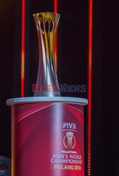 Losowanie grup finałowych do MŚ w siatkówce Polska 2014